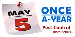 Dependable Once a Year pest control services