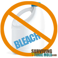 Do not use bleach to clean mold Surviving Toxic Mold