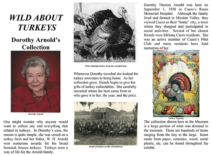 wild about turkeys Dorothy Arnold's Collection article section one