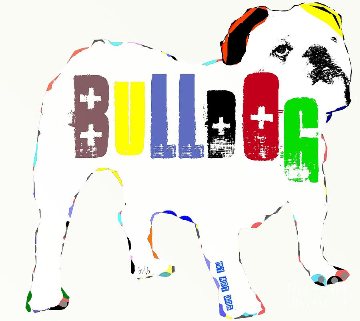 Bulldog Breed Information
