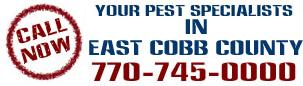 pest control east cobb county ga