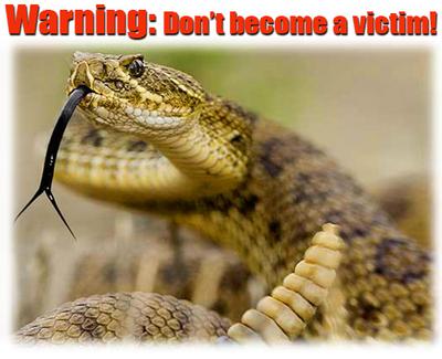 dont be a snakebite victim
