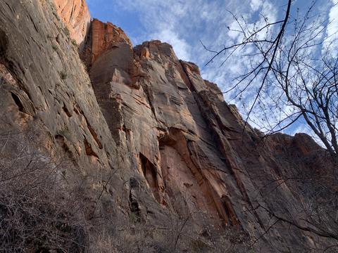 Rock Wall in Zion C