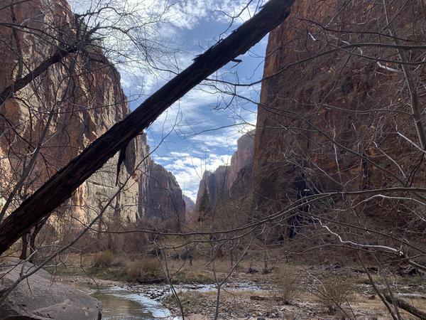 View of Zion Canyon from Riverside Walk