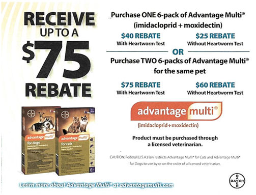 coupons-promotions-high-point-nc-veterinarian