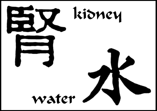 5 Elements: Kidney - Water