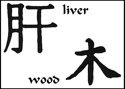 5 Elements: Liver - Wood