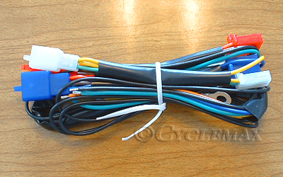 Trailer Wire Harness Converter for GL1800 GL1500 45-1848