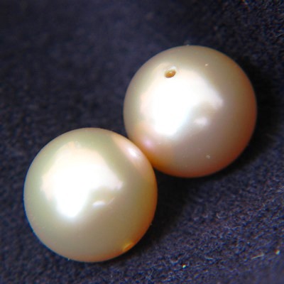 fine orange pink sunset pair for earrings with freshwater from  black-lipped oyster pearl with GIA r