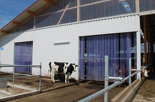 Livestock dairy farm strip doors reduce cost and increase efficiency 