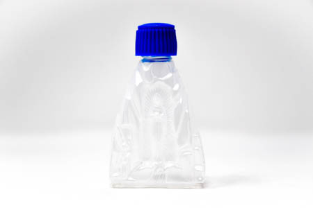 Lourdes Water Bottle.