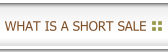 Learn About Short Sales 