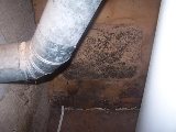 Home Owners Insurance: Is Mold Covered?