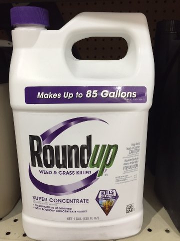 Roundup Weed & Grass Killer Super Concentrate