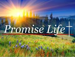 Promise Life